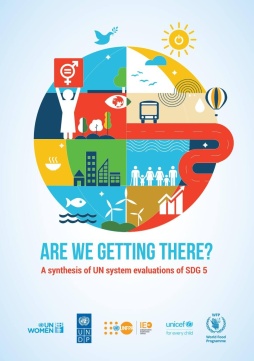 Are we getting there? A synthesis of UN system evaluations of SDG 5